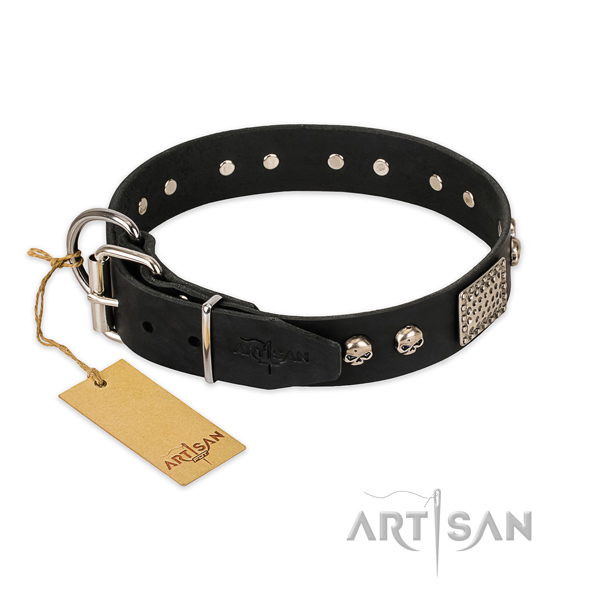 Rust-proof buckle on daily use dog collar