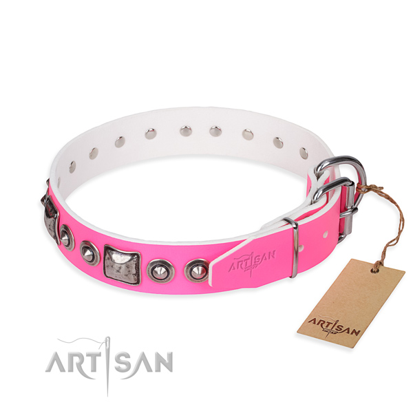 Quality leather dog collar handcrafted for everyday walking