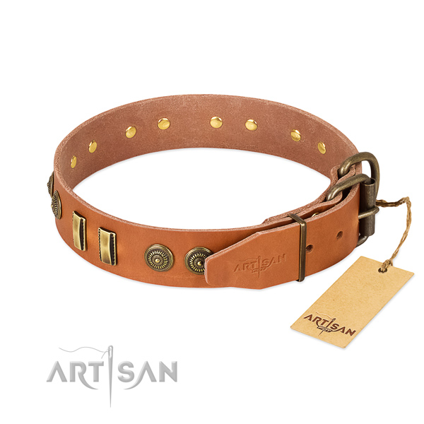 Strong adornments on full grain leather dog collar for your dog