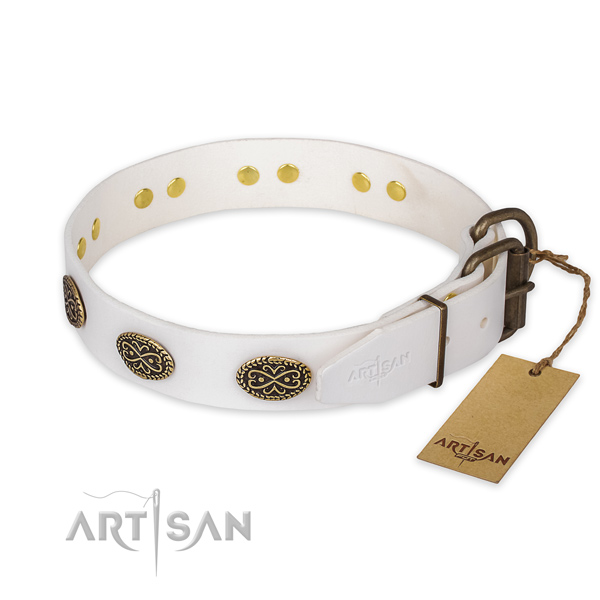 Rust-proof hardware on leather collar for basic training your four-legged friend