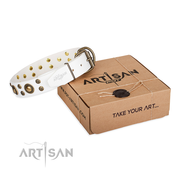 Everyday use dog collar of finest quality genuine leather with studs