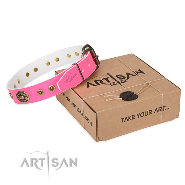 Leather dog collar made of high quality material with corrosion resistant fittings