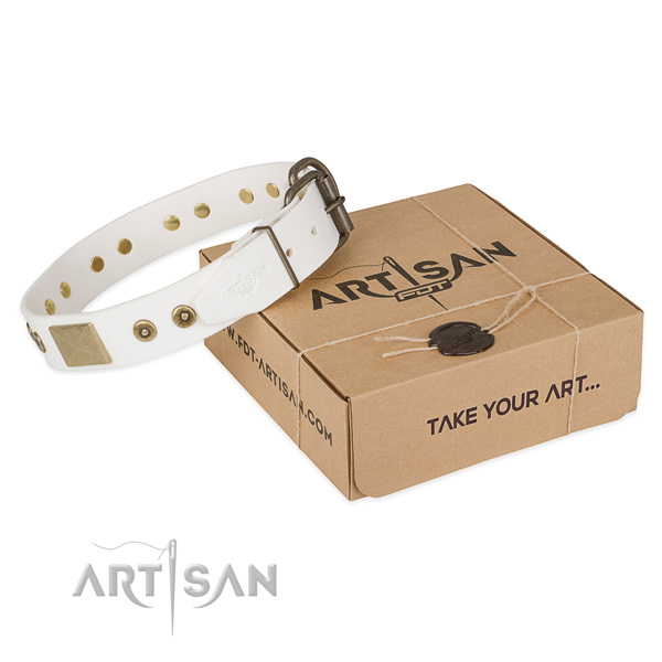 Rust resistant hardware on natural leather dog collar for easy wearing
