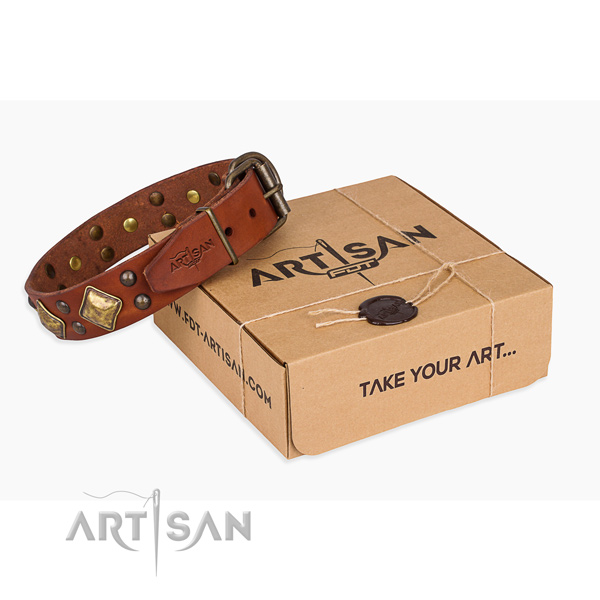 Basic training dog collar with Significant durable embellishments