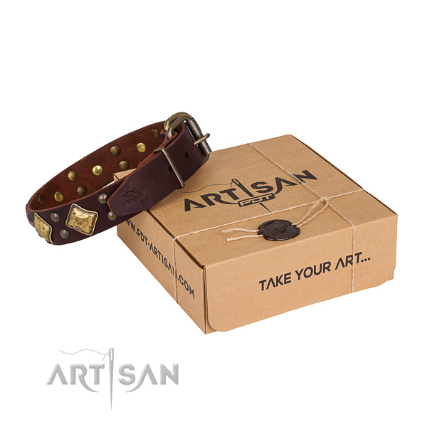 Everyday use dog collar with Exceptional corrosion proof decorations