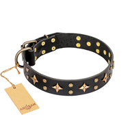 "A La Mode" FDT Artisan Handcrafted Black Leather Amstaff Collar