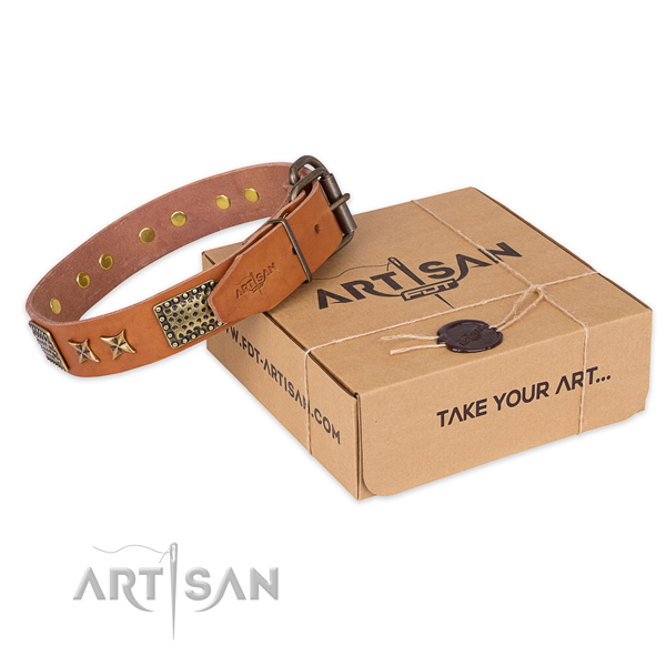 Durable buckle on leather collar for your attractive dog