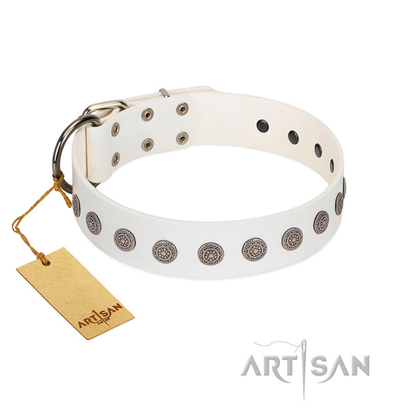 Impressive leather collar for your four-legged friend