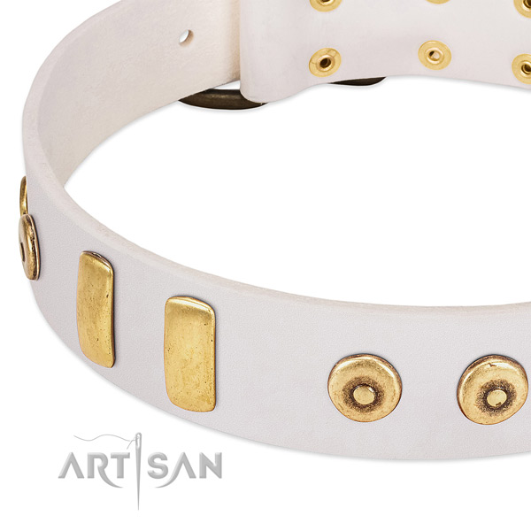High quality genuine leather dog collar with extraordinary embellishments