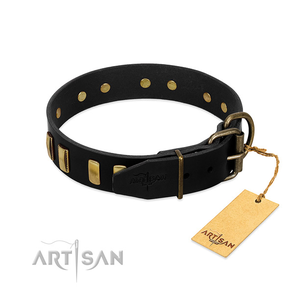 Top notch leather dog collar with durable hardware