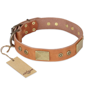 "The Middle Ages" FDT Artisan Handcrafted Tan Leather Amstaff Collar