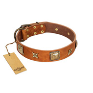 "Celtic Tunes" FDT Artisan Tan Leather Amstaff Collar Adorned with Stars and Squares