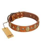 "Venus Breath" FDT Artisan Tan Leather Amstaff Collar with Vintage Looking Oval and Round Studs