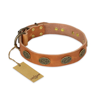 "Magic Amulet" FDT Artisan Tan Leather Amstaff Collar with Oval Studs