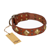 "Flight of Fancy" FDT Artisan Adorned Leather Amstaff Collar