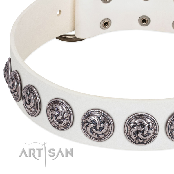 Embellished full grain leather dog collar with durable buckle