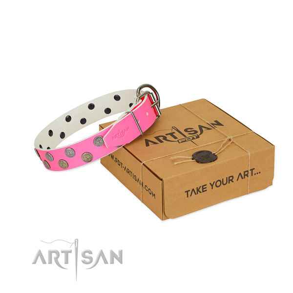 Unique studded leather dog collar for fancy walking