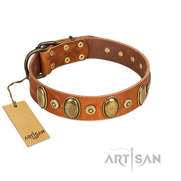 Rust resistant adornments on dog collar for daily use