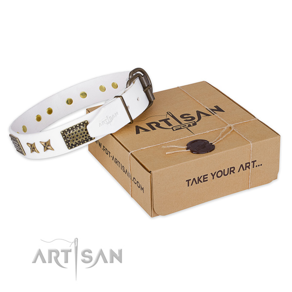 Rust resistant hardware on genuine leather collar for your impressive pet