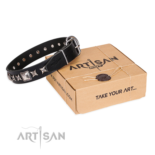 Everyday walking dog collar of strong full grain genuine leather with decorations