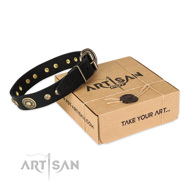 Corrosion resistant traditional buckle on leather dog collar for comfortable wearing
