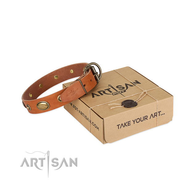 Stylish full grain natural leather collar for your stylish doggie
