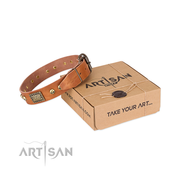 Corrosion resistant buckle on dog collar for everyday use