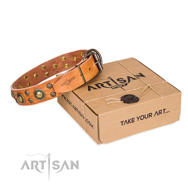 Daily walking dog collar of strong genuine leather with decorations