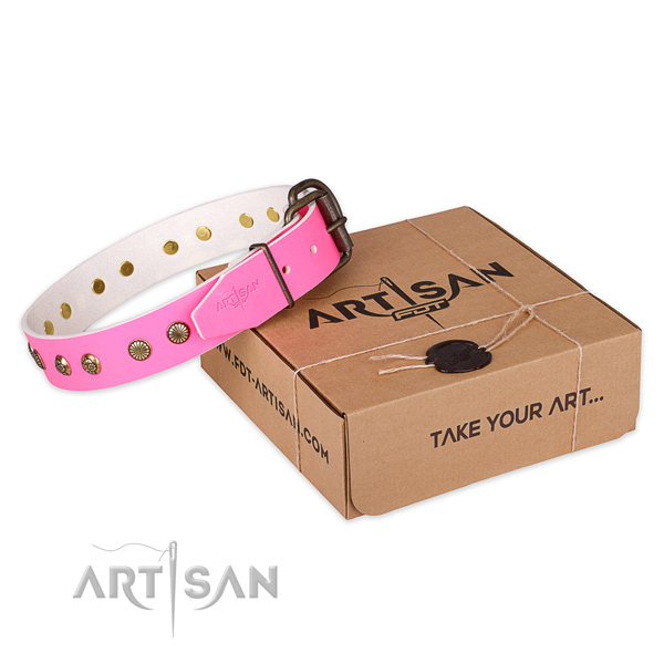 Strong fittings on full grain natural leather collar for your impressive doggie