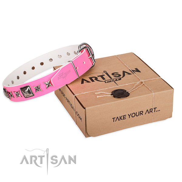 Fancy walking genuine leather dog collar with studs