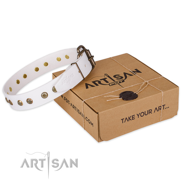 Rust-proof traditional buckle on natural genuine leather collar for your stylish canine