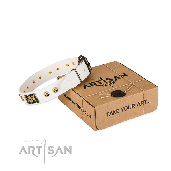 Strong hardware on dog collar for daily walking