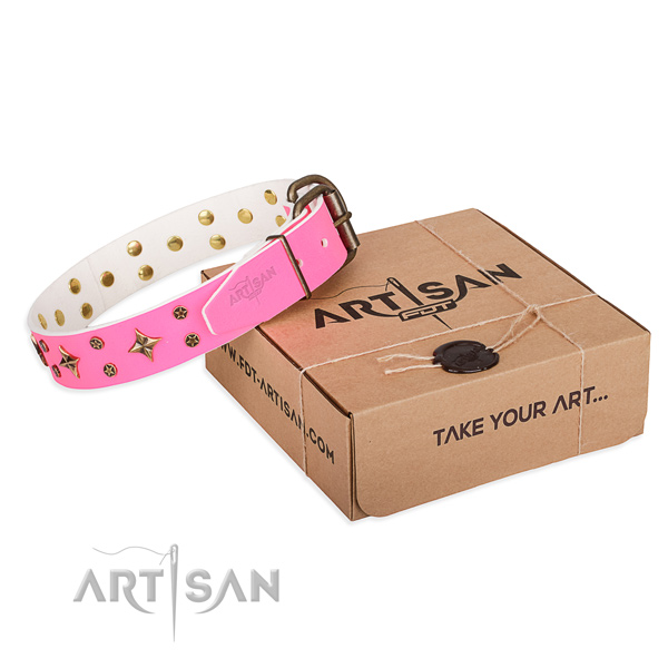 Daily use dog collar of fine quality genuine leather with embellishments