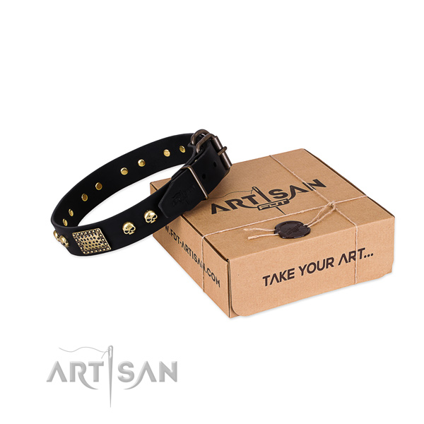 Reliable decorations on dog collar for walking