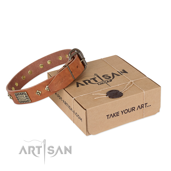 Embellished leather collar for your beautiful doggie