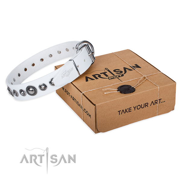 Leather dog collar made of high quality material with reliable fittings