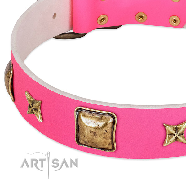 Full grain natural leather dog collar with impressive adornments