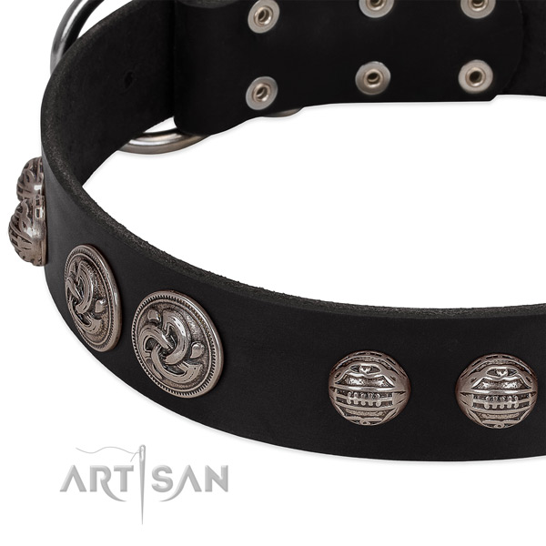 Reliable D-ring on leather collar for fancy walking your pet