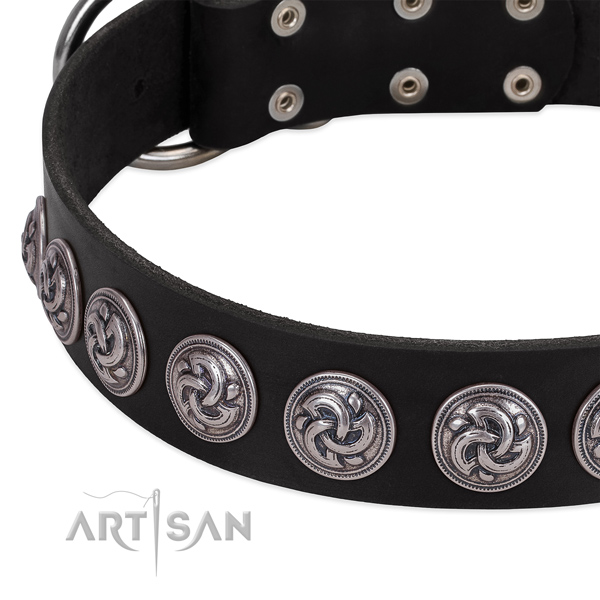 Extraordinary genuine leather collar for your dog stylish walking