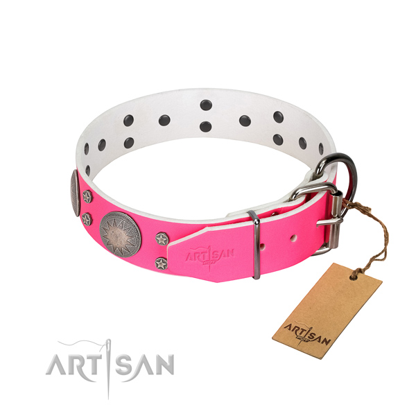 Reliable full grain leather dog collar with studs for your beautiful pet