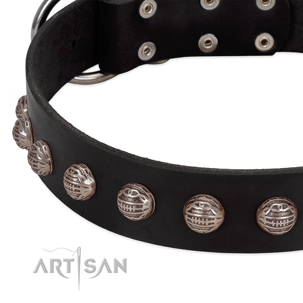 Full grain genuine leather collar with designer adornments for your dog