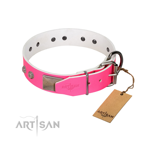 Fancy walking dog collar of leather with impressive adornments