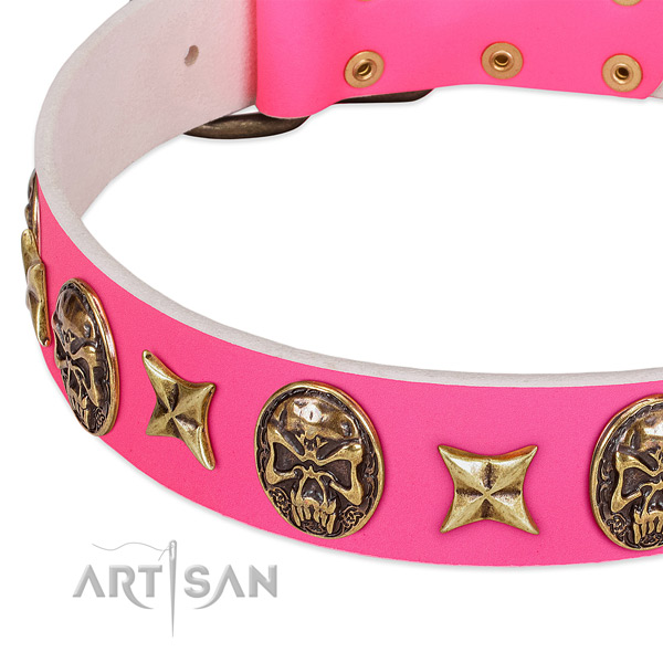 Natural leather dog collar with inimitable adornments