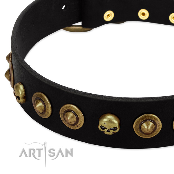Genuine leather dog collar with stylish studs