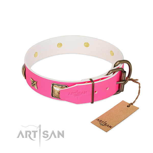 Rust-proof fittings on genuine leather collar for stylish walking your dog