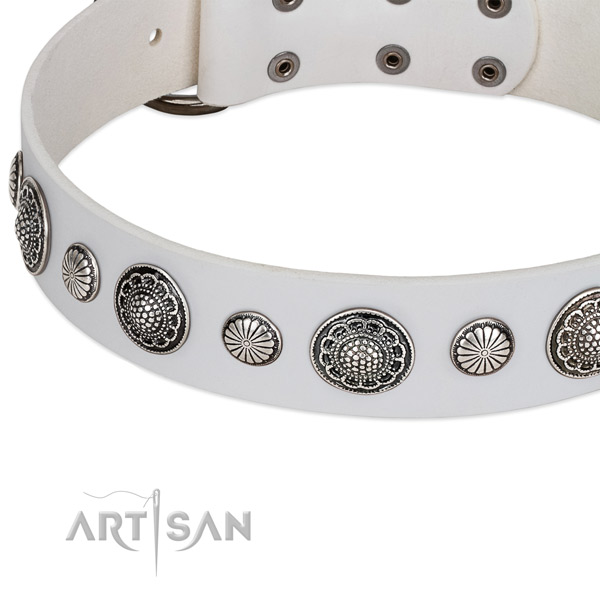 Genuine leather collar with reliable fittings for your lovely canine