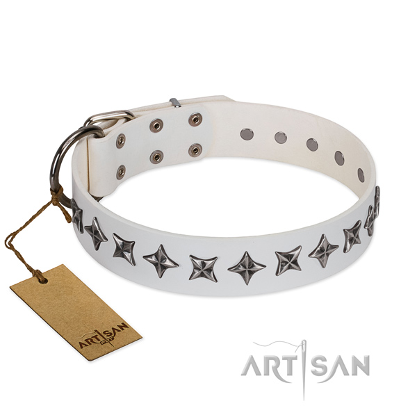 Everyday use dog collar of high quality full grain natural leather with studs