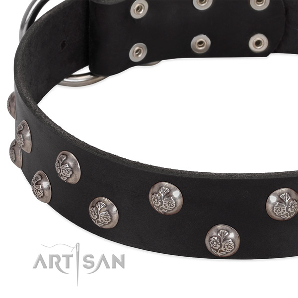 Genuine leather dog collar with strong buckle and decorations