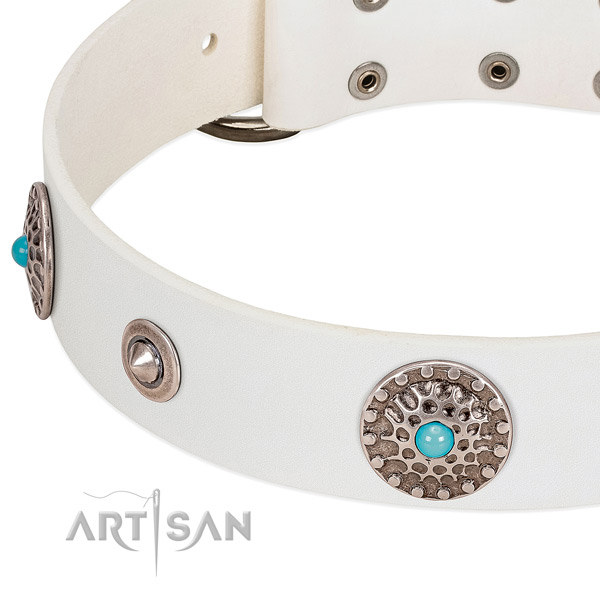 Unique collar of full grain leather for your beautiful dog