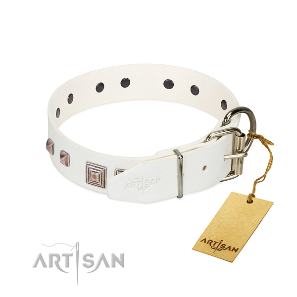 Amazing collar of full grain leather for your lovely four-legged friend